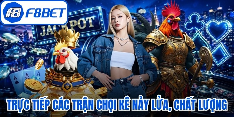 Trực tiếp các trận chọi kê nảy lửa, chất lượng